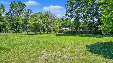 115 Jane Drive Hazel Green AL 35750