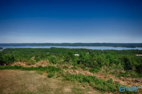 113 Mccorkle Mountain Road Scottsboro AL 35769