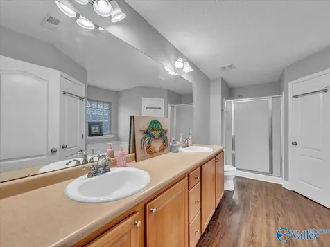15823 Trey Hughes Drive Harvest AL 35749