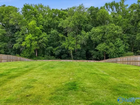 168 Clift Creek Drive Madison AL 35757