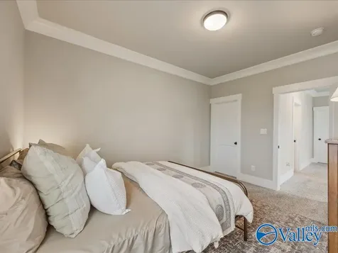 244 Farmhouse Drive Madison AL 35757