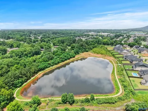 112 Brooklyn Court Madison AL 35757