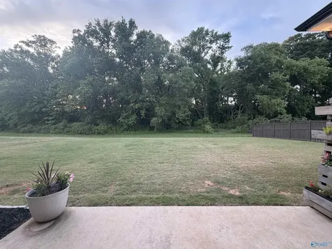 443 Peach Orchard Lane Madison AL 35757