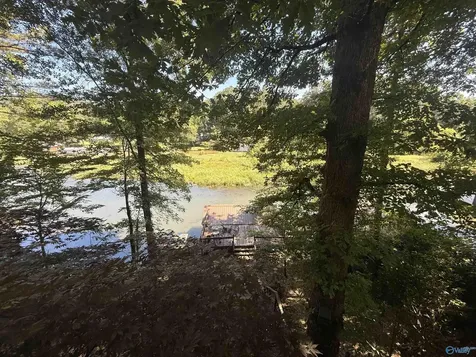 4512 Hideaway Drive Guntersville AL 35976