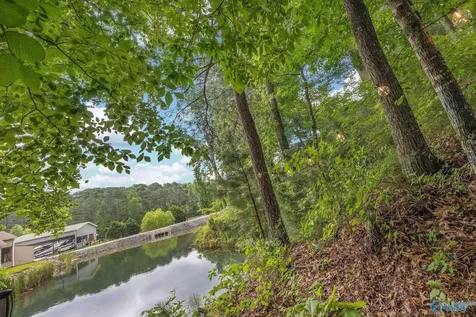 1727 Convict Camp Road Guntersville AL 35976