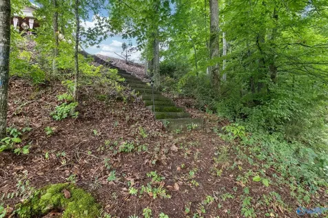 1727 Convict Camp Road Guntersville AL 35976