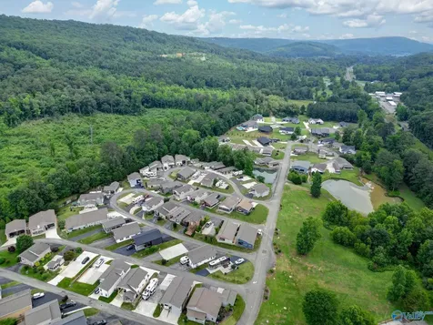 1727 Convict Camp Road Guntersville AL 35976