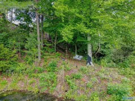 1727 Convict Camp Road Guntersville AL 35976
