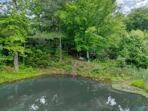 1727 Convict Camp Road Guntersville AL 35976
