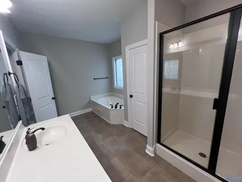 152 Morning Vista Drive Madison AL 35758