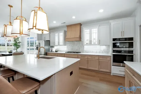 161 Grand Springs Court Madison AL 35756