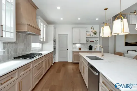 161 Grand Springs Court Madison AL 35756