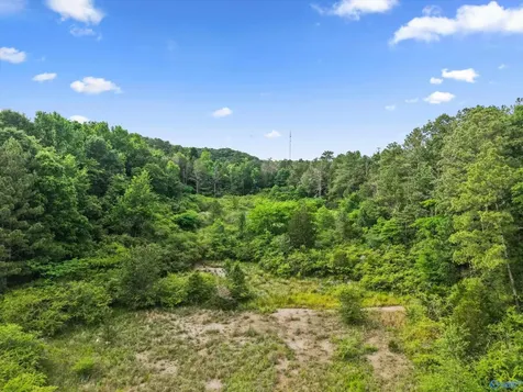 7 County Road 1170 Cullman AL 35057