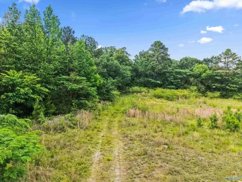 7 County Road 1170 Cullman AL 35057