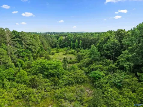 7 County Road 1170 Cullman AL 35057