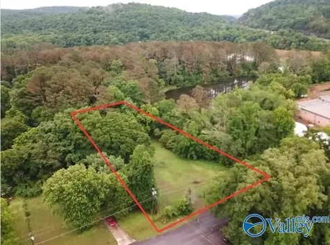 354 Word Mountain Road Grant AL 35747
