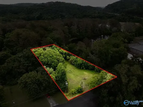 354 Word Mountain Road Grant AL 35747