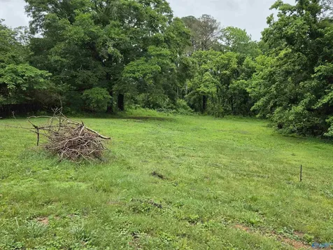 354 Word Mountain Road Grant AL 35747