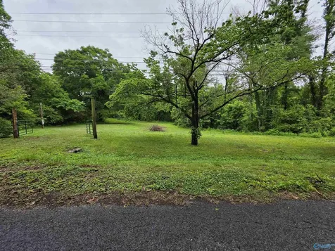 354 Word Mountain Road Grant AL 35747