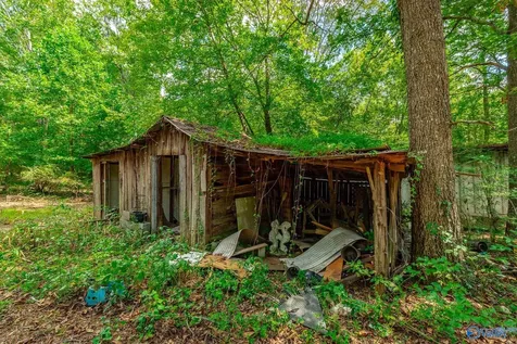 1059 County Road 639 Mentone AL 35984