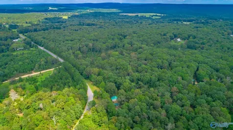 1059 County Road 639 Mentone AL 35984