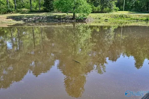 1165 County Road 1196 Cullman AL 35057