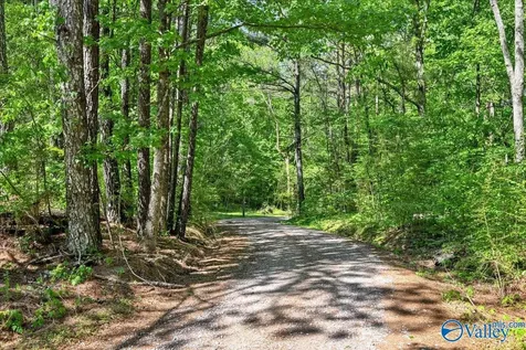1165 County Road 1196 Cullman AL 35057
