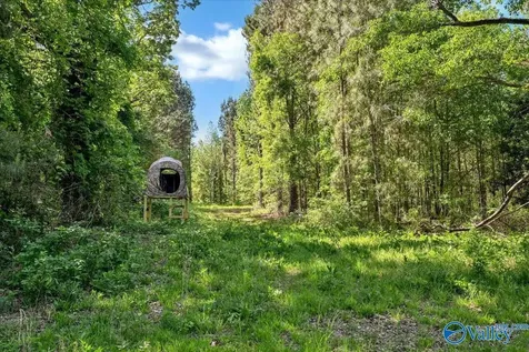 1165 County Road 1196 Cullman AL 35057