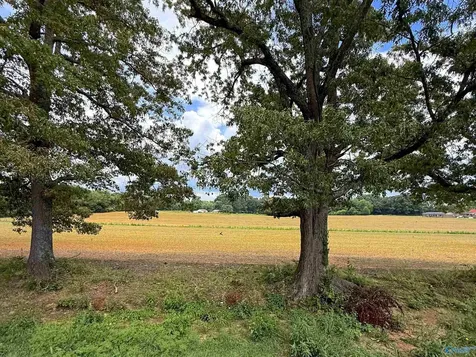 14.3 Acres Tillman Mill Road Athens AL 35614