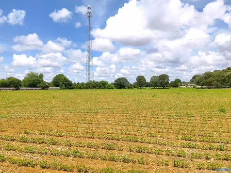 14.3 Acres Tillman Mill Road Athens AL 35614