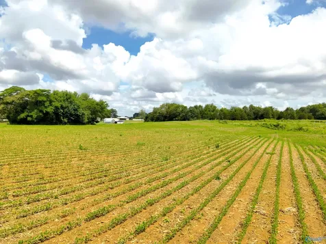 14.3 Acres Tillman Mill Road Athens AL 35614