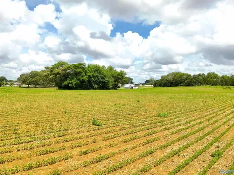 14.3 Acres Tillman Mill Road Athens AL 35614