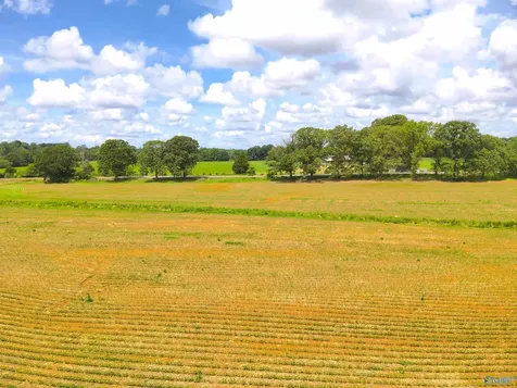 14.3 Acres Tillman Mill Road Athens AL 35614