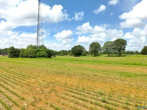 14.3 Acres Tillman Mill Road Athens AL 35614