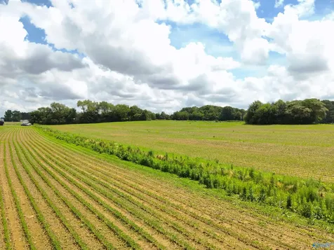 14.3 Acres Tillman Mill Road Athens AL 35614