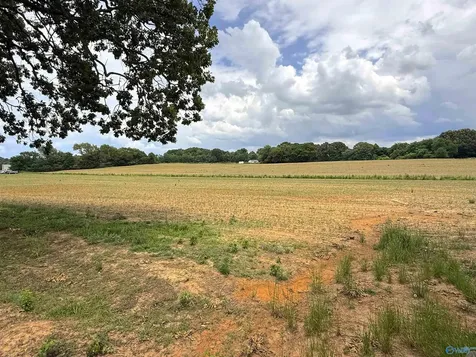 14.3 Acres Tillman Mill Road Athens AL 35614