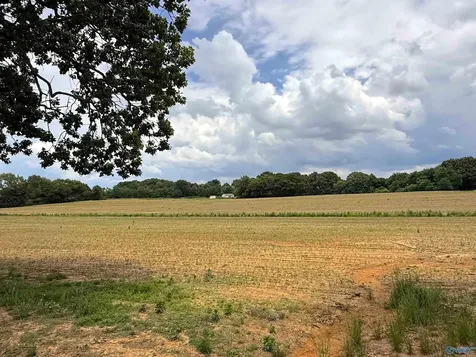 14.3 Acres Tillman Mill Road Athens AL 35614