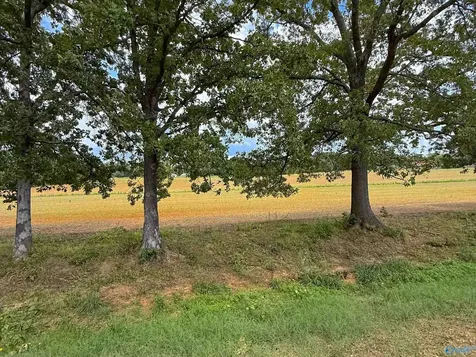 14.3 Acres Tillman Mill Road Athens AL 35614