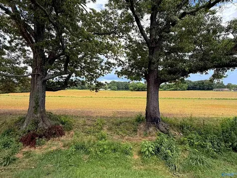14.3 Acres Tillman Mill Road Athens AL 35614