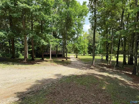 760 West Lacon Road Falkville AL 35622