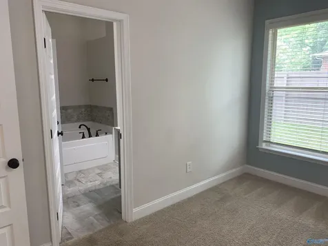 184 Summer Pointe Lane Madison AL 35757