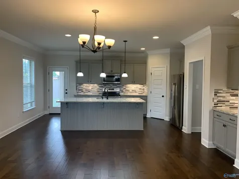 184 Summer Pointe Lane Madison AL 35757