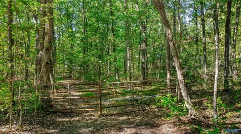 1175 County Road 72 Mentone AL 35984