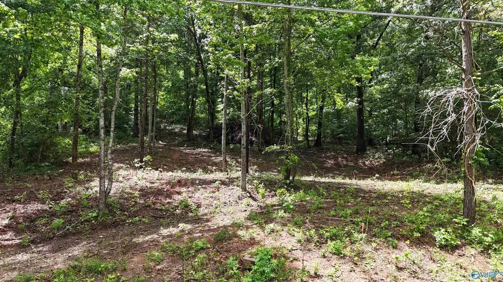 Lot 118 Honeycomb Valley Road Grant AL 35747