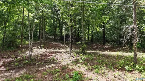 Lot 118 Honeycomb Valley Road Grant AL 35747