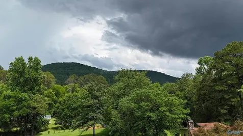 Lot 118 Honeycomb Valley Road Grant AL 35747