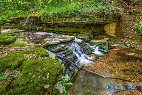 37 Old Mclemore Road Taft TN 38488