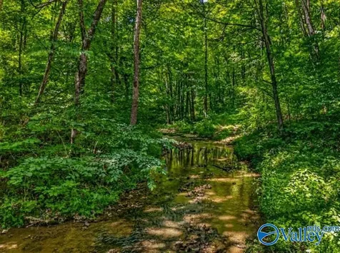 37 Old Mclemore Road Taft TN 38488