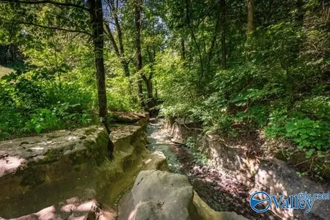 37 Old Mclemore Road Taft TN 38488