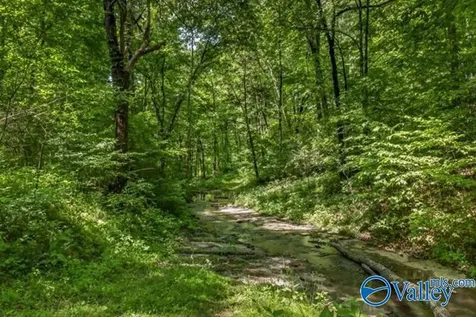 37 Old Mclemore Road Taft TN 38488